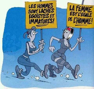 Les-parlementaires-tracent-pistes-pour-sauver-ecotaxe_0_730_380