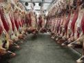 Réchauffement climatique